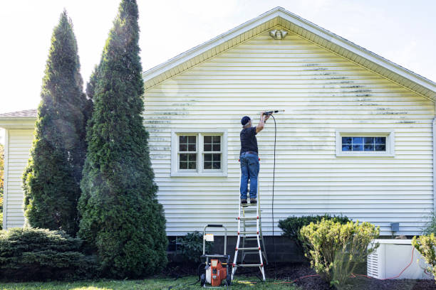 Spring Cleaning in Pagedale, MO